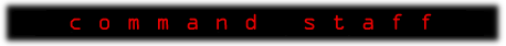 The &ldquo;Command&rdquo; section banner — LCARS styling